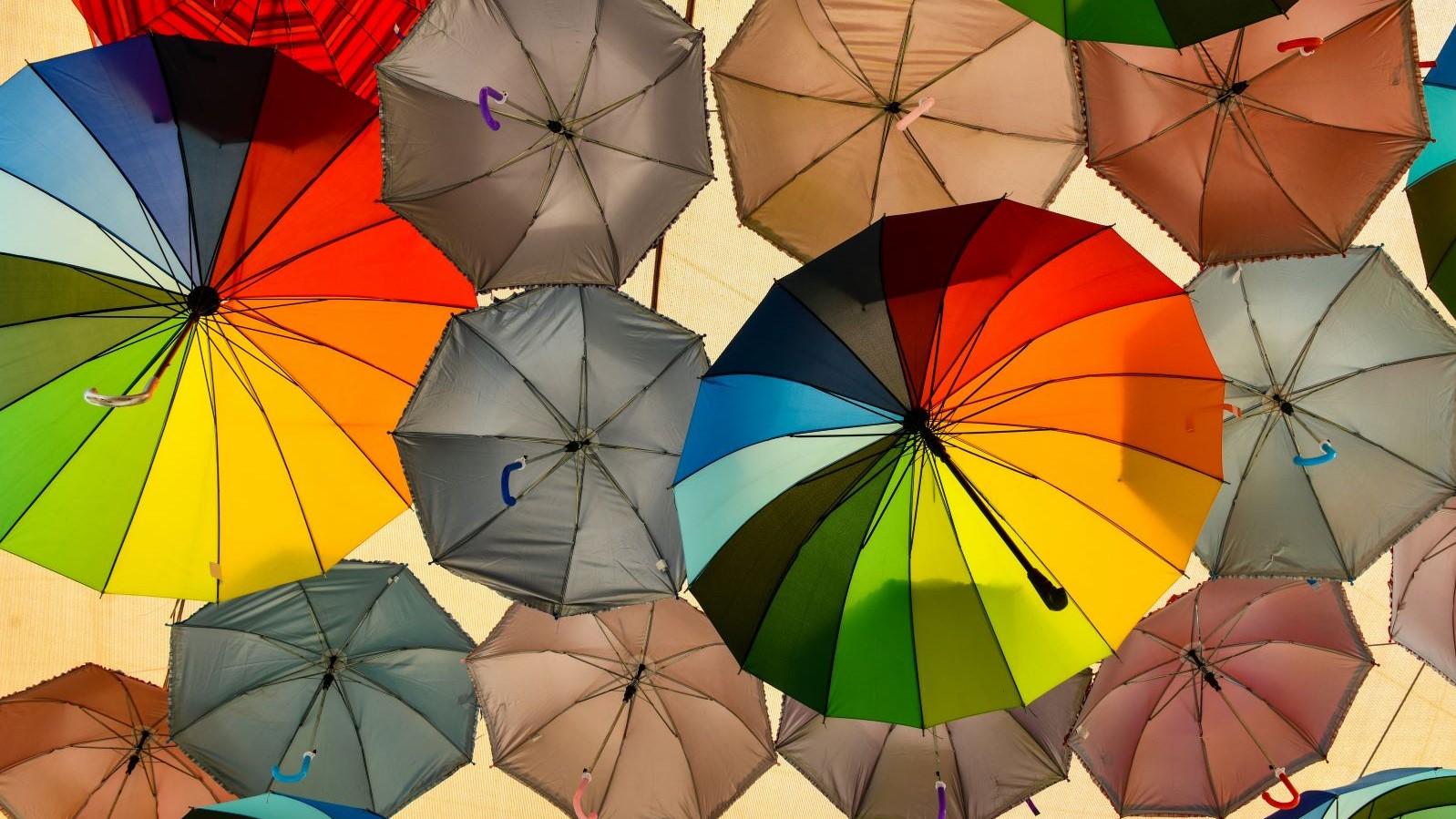 Symbolbild Inklusion. Bunte Regenschirme